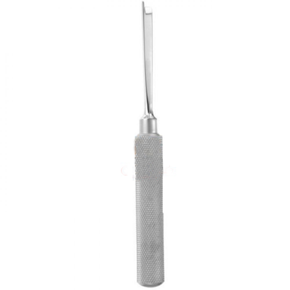 Braithwaite-Nasal-Chisl-1000x1000-1.jpg